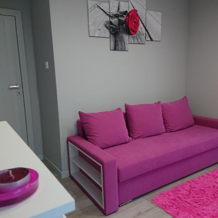 キェルツェApartament Exclusiveアパートメント エクステリア 写真